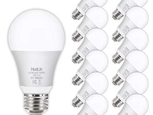 Lot de 12 ampoules LED A19