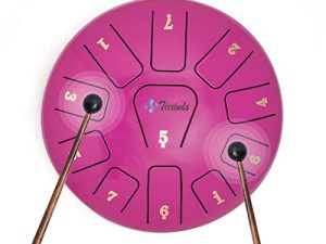 Tambour à languette en acier