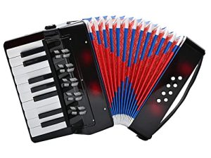 Accordéon 17 Touches Piano Accordéon
