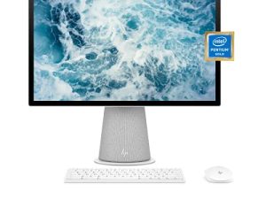 Ordinateur de bureau tout-en-un HP Chromebase 21