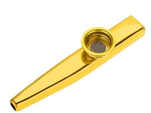 Kazoo exquis métal bouche Kazoo flûte Instrument