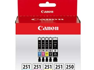 Pack Amazon Canon PGI-250/ CLI-251 5 couleurs
