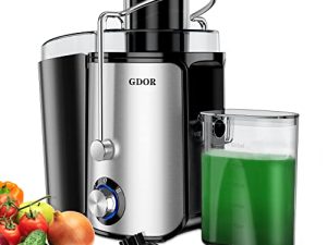 GDOR Centrifugeuses avec moteur 1000 W