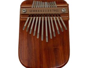 Mountain Melodies Amp-Ready African Padauk 12 touches