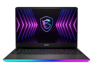 Ordinateur portable de jeu MSI Raider GE77HX