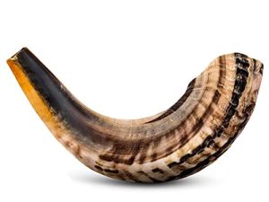 Instrument de corne Shofar - Instrument de