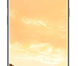 Samsung Galaxy S8 G950F 64 Go 5