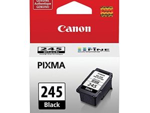 Cartouche d'encre noire Canon PG-245 compatible avec
