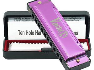 VACHAN Blues Harmonica Orgue à Bouche 10