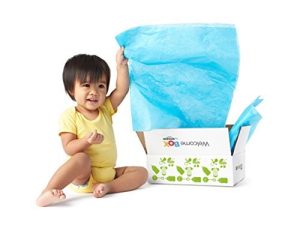 Boîte de bienvenue du registre des bébés