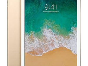Apple iPad avec WiFi + cellulaire