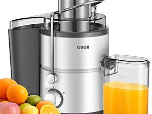 GDOR Centrifugeuse avec moteur 800 W