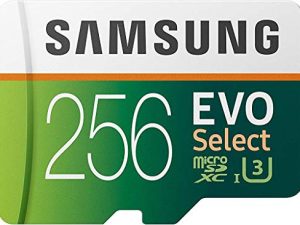 SAMSUNG ELECTRONICS EVO Select 256 Go MicroSDXC