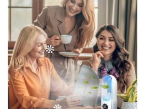 Ventilateur de climatiseurs portables
