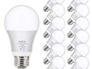 Lot de 12 ampoules LED A19 100