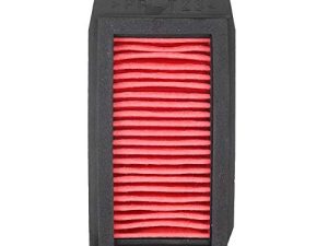 Qiilu Filtre à air de moteur