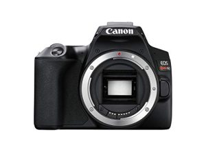 Appareil photo reflex numérique CANON EOS REBEL