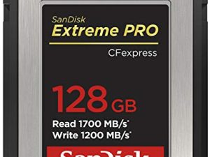 Carte SanDisk 128 Go Extreme PRO CFexpress