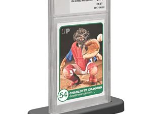 Lot de 10 supports de cartes graduées
