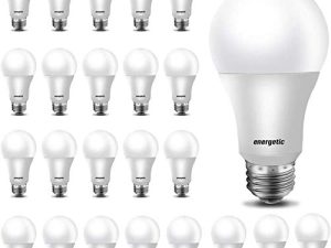 Lot de 24 ampoules LED 60 W