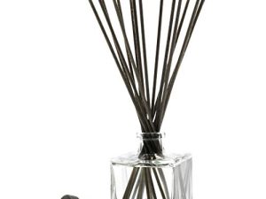 kai Reed Diffuseur