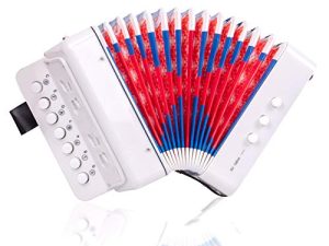 Accordéon Bouton