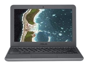 ASUS Chromebook C202SA-YS02 11