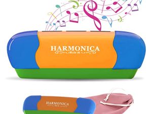 Harmonica Key of C Orgue à bouche