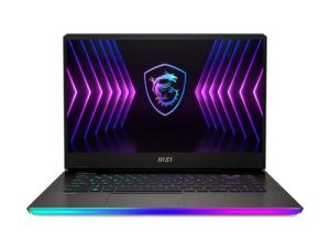 Ordinateur portable de jeu MSI Raider GE67Hx