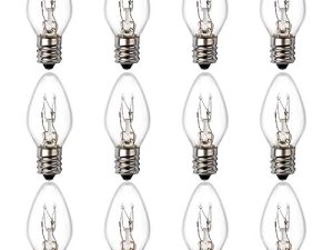 Lot de 12 ampoules de lampe à