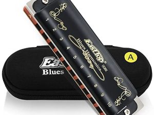 East top Harmonica