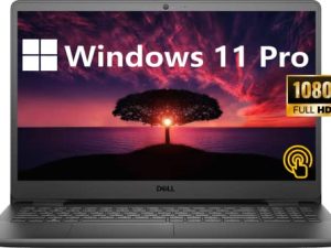Ordinateur portable professionnel Dell Inspiron 3501 15