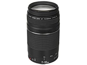 Canon EF 75-300mm f/4-5.6 III Téléobjectif Zoom