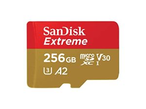 Carte mémoire SanDisk Extreme microSDXC UHS-I 256