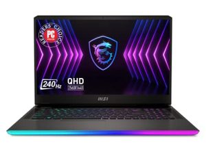 Ordinateur portable de jeu MSI Raider GE77Hx