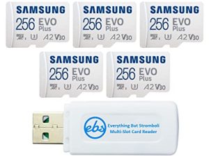 Carte mémoire Samsung 256 Go Evo Plus