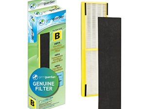 Germ Guardian FLT4825 HEPA GENUINE Filtre de