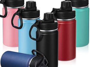 Lot de 6 bouteilles d'eau isothermes en