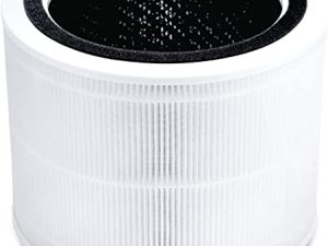 LEVOIT Filtre de rechange pour purificateur d'air