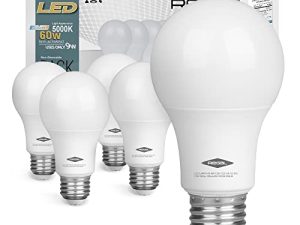 Regal Ampoule LED A19 5000K lumière du