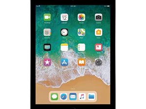 Apple iPad 9
