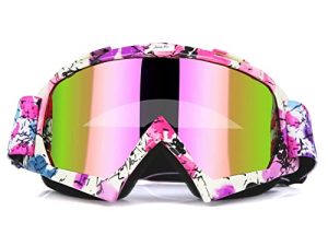Rose Motocross Moto Lunettes Dirt Bike ATV