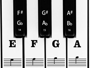 AIEX Piano Clavier Musique Note Ensemble Complet