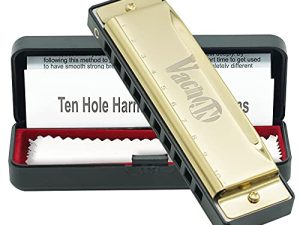 VACHAN Blues Harmonica Orgue à Bouche 10