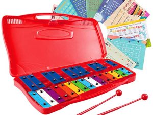 Costzon Xylophone 25 notes avec étui