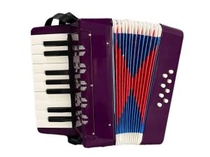BORIYAM Instrument d'accordéon pour enfants 17 touches