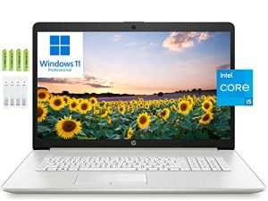 [Windows 11 Pro] Ordinateur portable professionnel HP