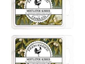 Mistletoe Kisses Wax Melt - Lot de