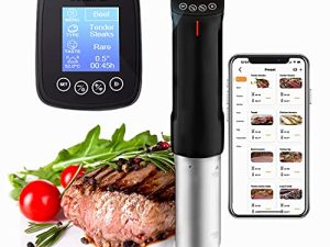 Inkbird WiFi Sous Vide Cooker Culinary Cooker
