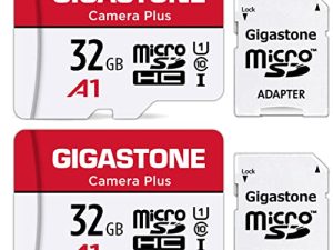 [Gigastone] Lot de 2 cartes micro SD